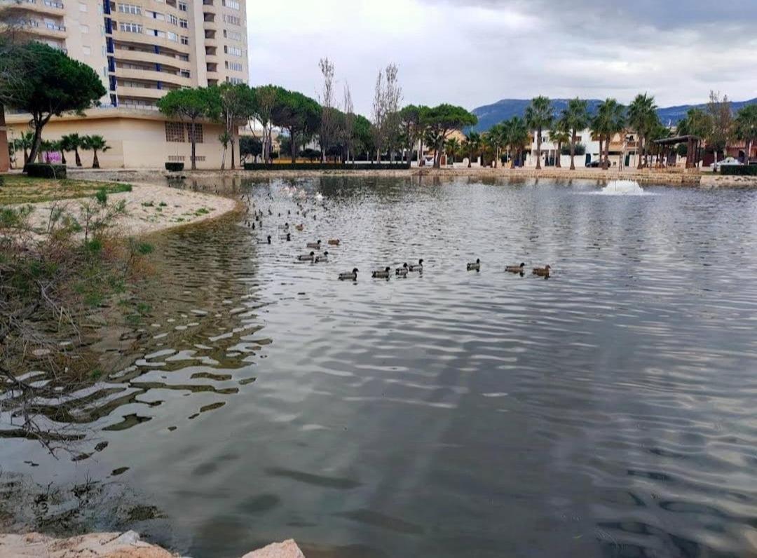 Arena Y Mar Apartamento Tabernes de Valldigna Exterior foto